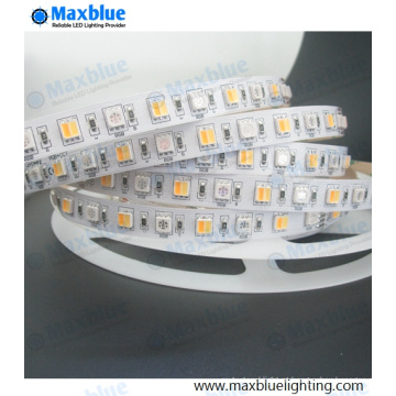 RGBW luz de luz LED Strip